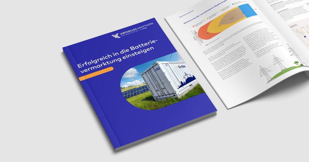 Whitepaper Batterievermarktung